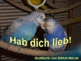 Hab dich lieb